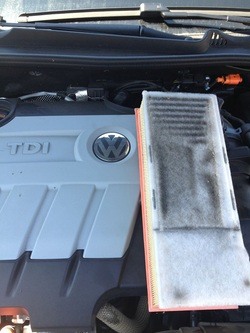 Dust, Dirt, Pollen & Smoke - Your Truckee Auto Air Filter Takes It All In