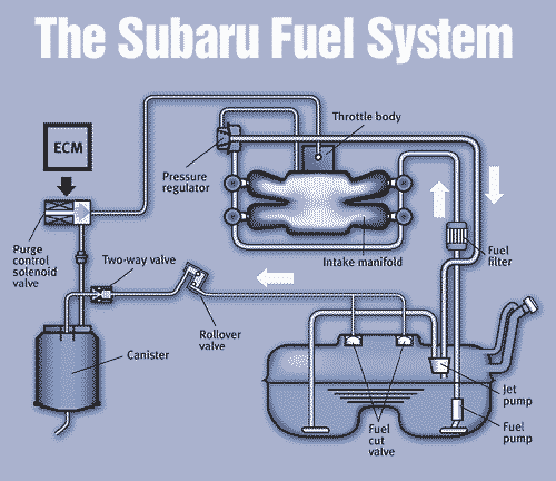 Tips to Keep Your Truckee Auto's Fuel Pump Healthy